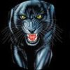 Mr Panther