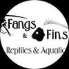 Fangs and Fins Shop