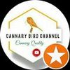 Cannary Bird channel