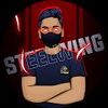 Steelwing Gaming
