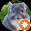 Timeshare Chinchilla