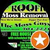 Rays Rooftop moss removal