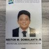 Nestor M Domalanta Jr